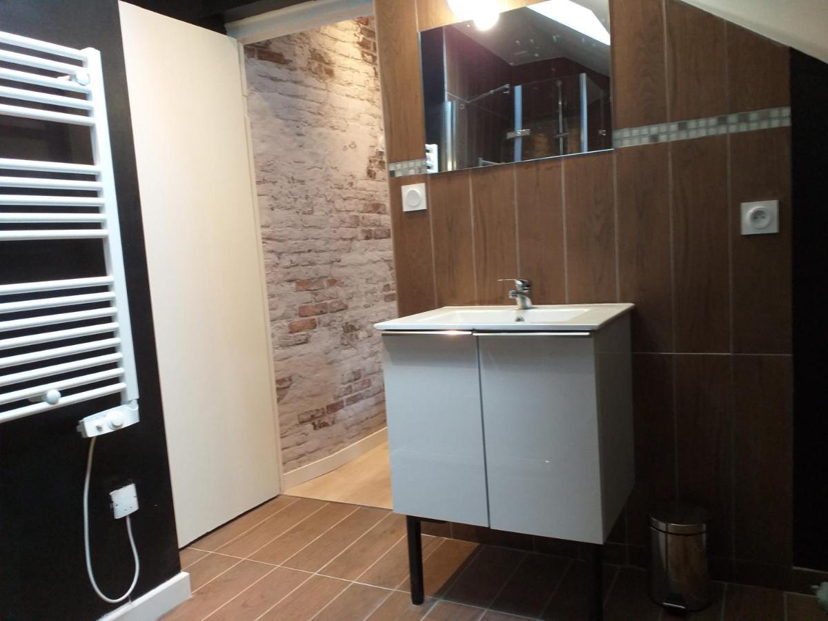 Les Volets Bleus - Deux Appartements Et Un Studio, Jardin ブールジュ エクステリア 写真