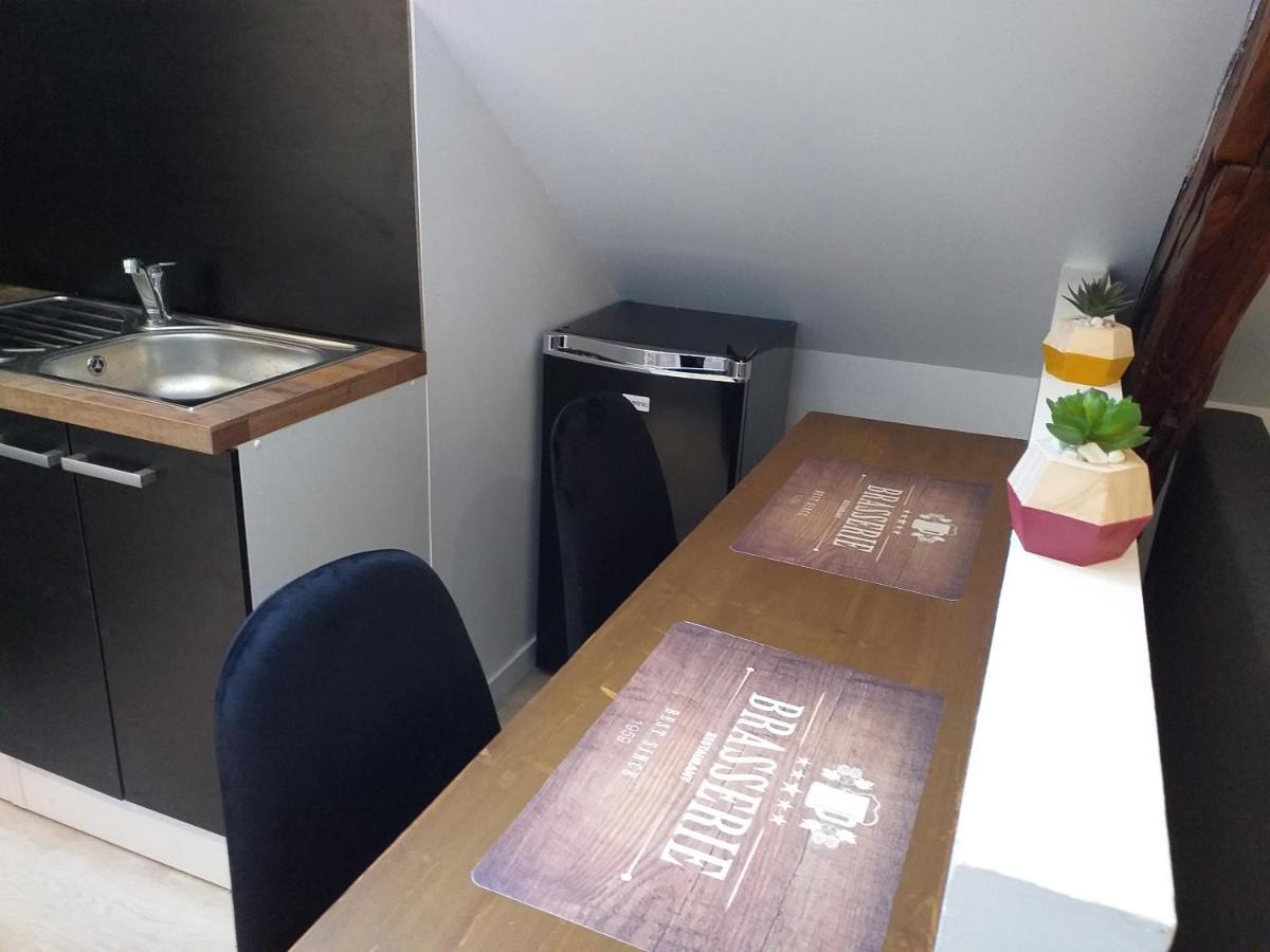 Les Volets Bleus - Deux Appartements Et Un Studio, Jardin ブールジュ エクステリア 写真