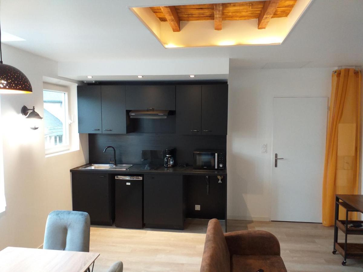 Les Volets Bleus - Deux Appartements Et Un Studio, Jardin ブールジュ エクステリア 写真