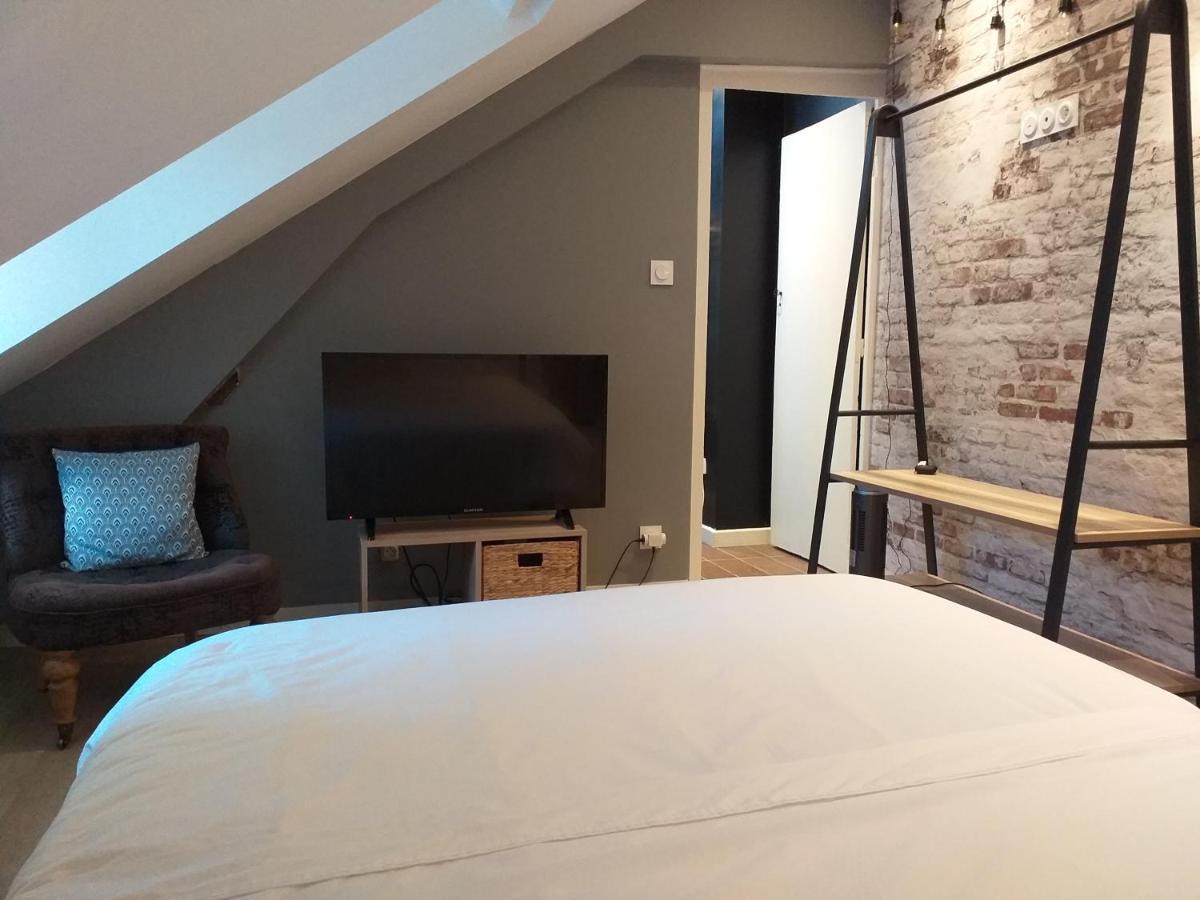 Les Volets Bleus - Deux Appartements Et Un Studio, Jardin ブールジュ エクステリア 写真