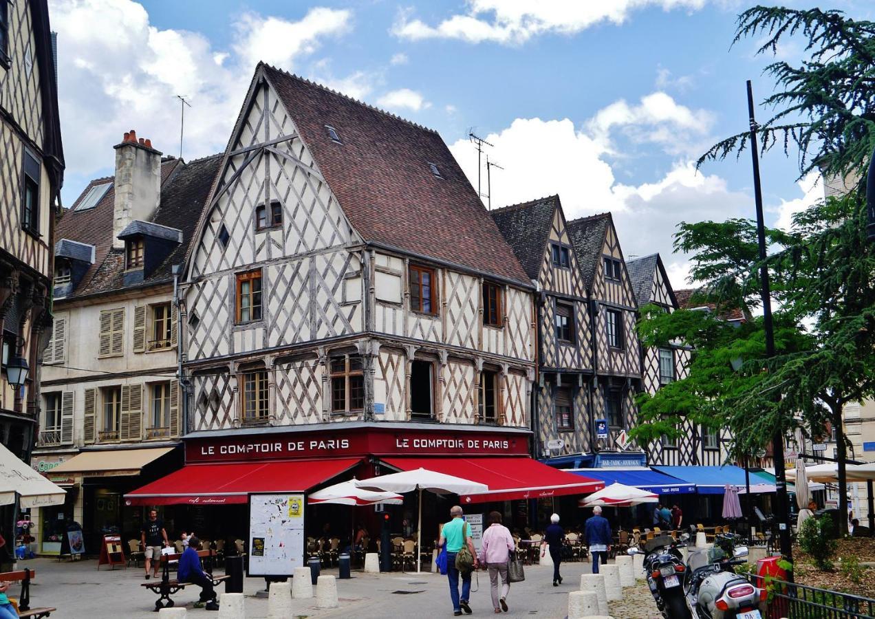 Les Volets Bleus - Deux Appartements Et Un Studio, Jardin ブールジュ エクステリア 写真