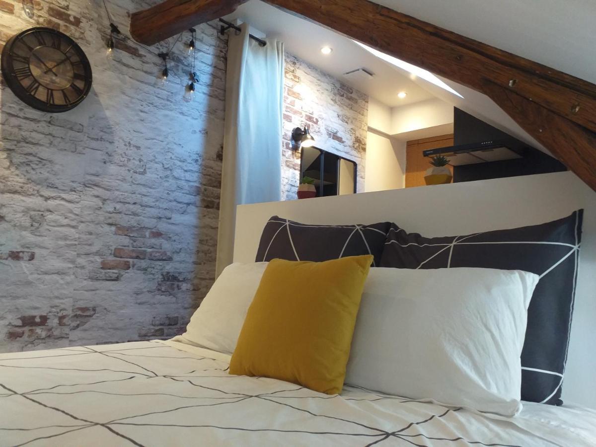 Les Volets Bleus - Deux Appartements Et Un Studio, Jardin ブールジュ エクステリア 写真