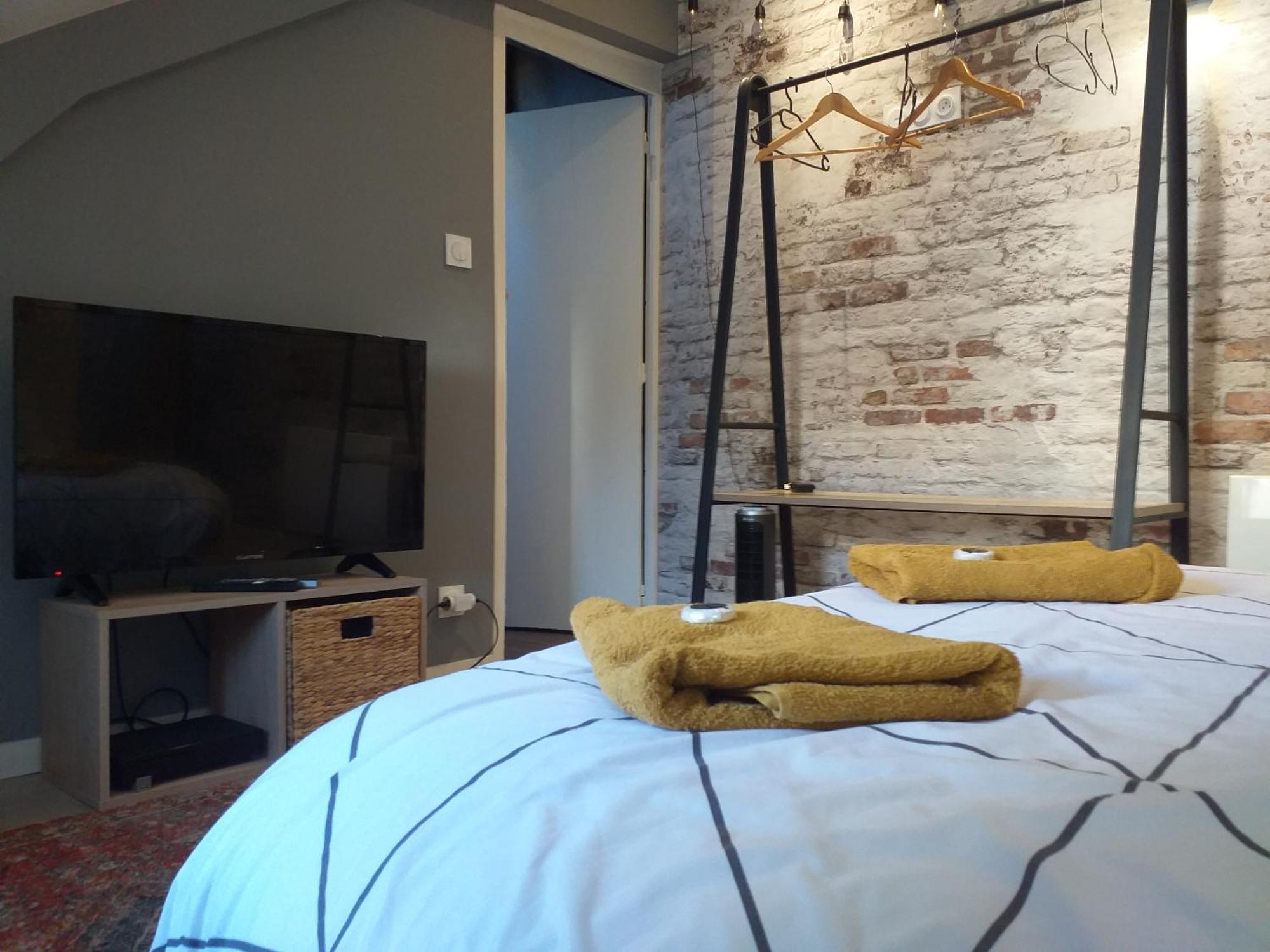 Les Volets Bleus - Deux Appartements Et Un Studio, Jardin ブールジュ 部屋 写真