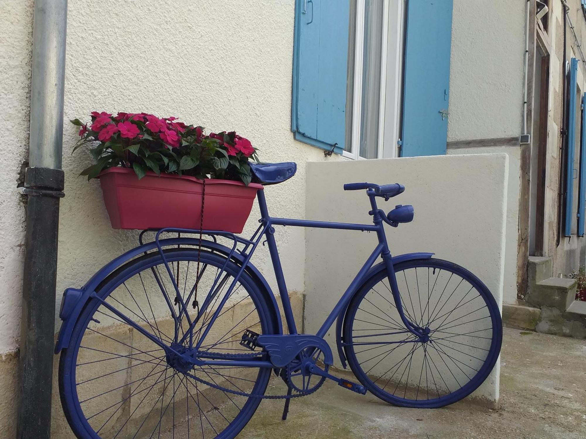 Les Volets Bleus - Deux Appartements Et Un Studio, Jardin ブールジュ 部屋 写真