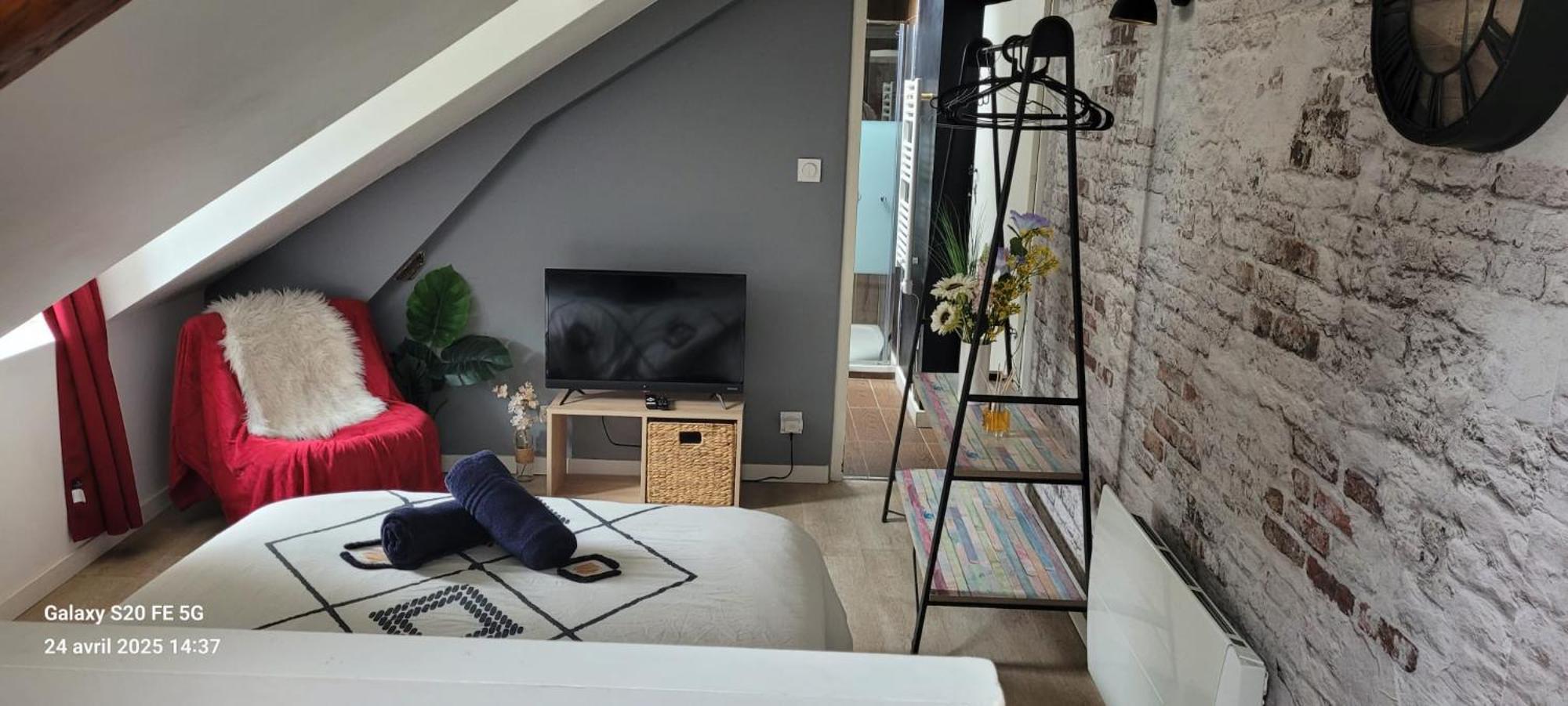 Les Volets Bleus - Deux Appartements Et Un Studio, Jardin ブールジュ エクステリア 写真