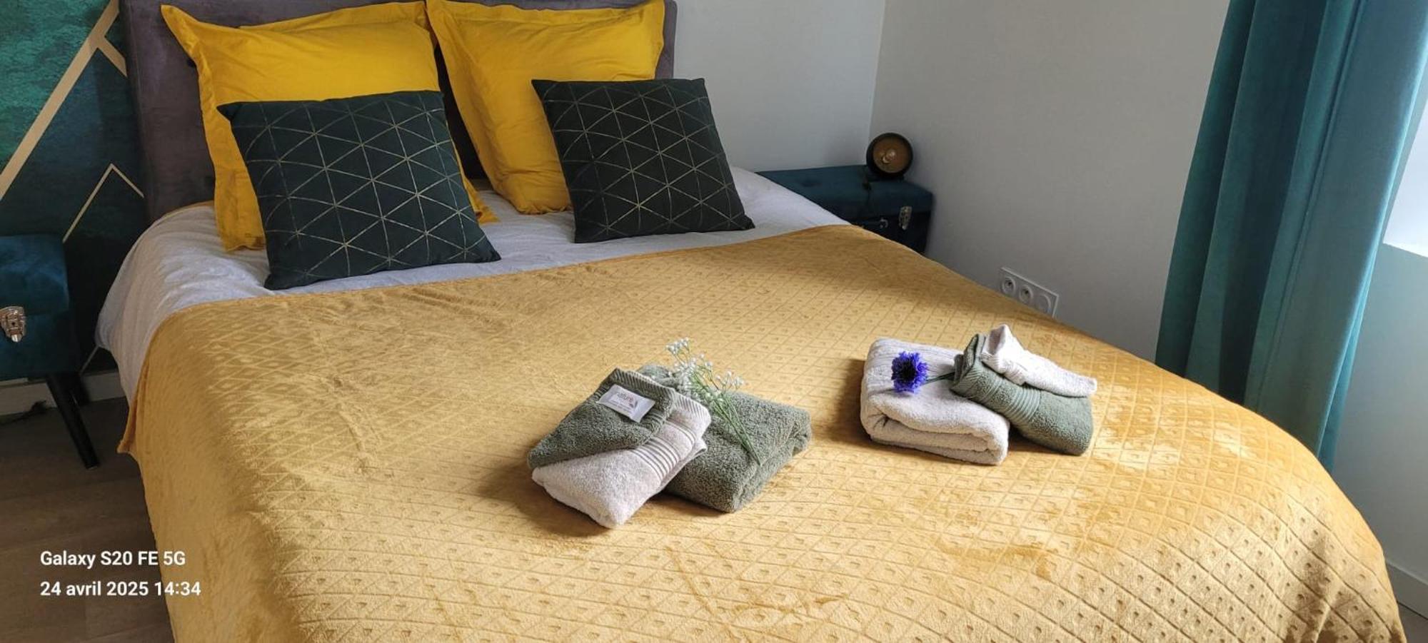 Les Volets Bleus - Deux Appartements Et Un Studio, Jardin ブールジュ エクステリア 写真