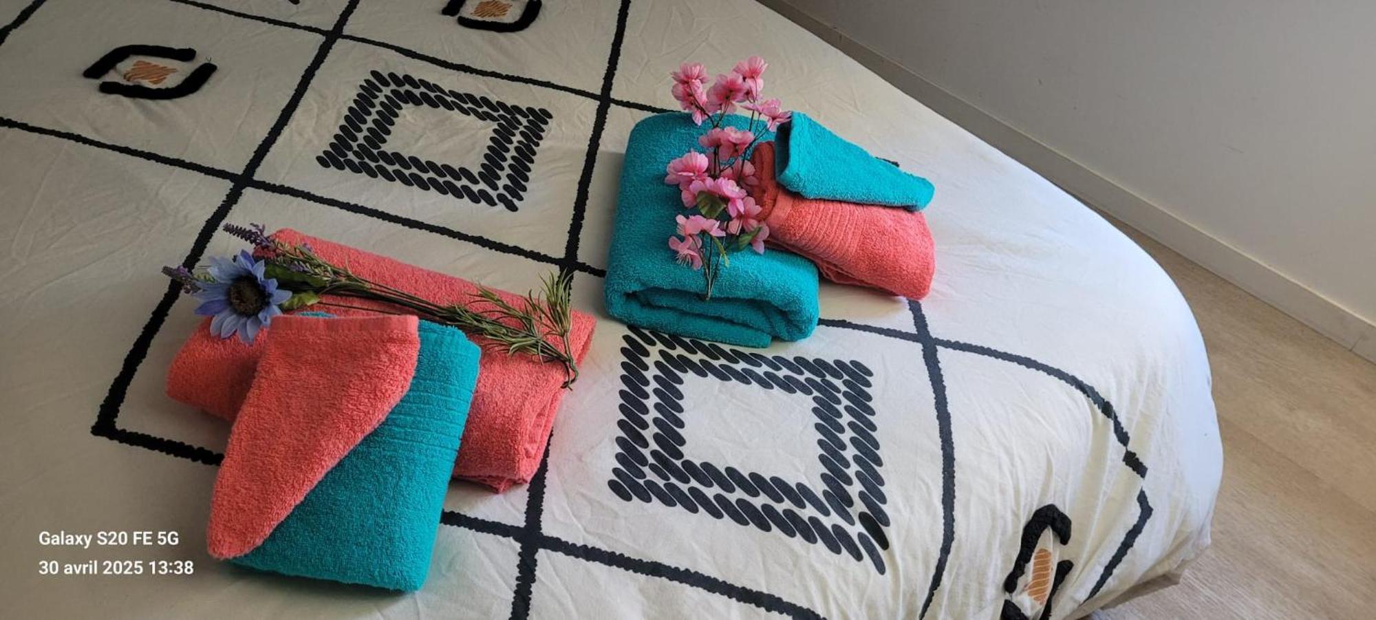 Les Volets Bleus - Deux Appartements Et Un Studio, Jardin ブールジュ エクステリア 写真