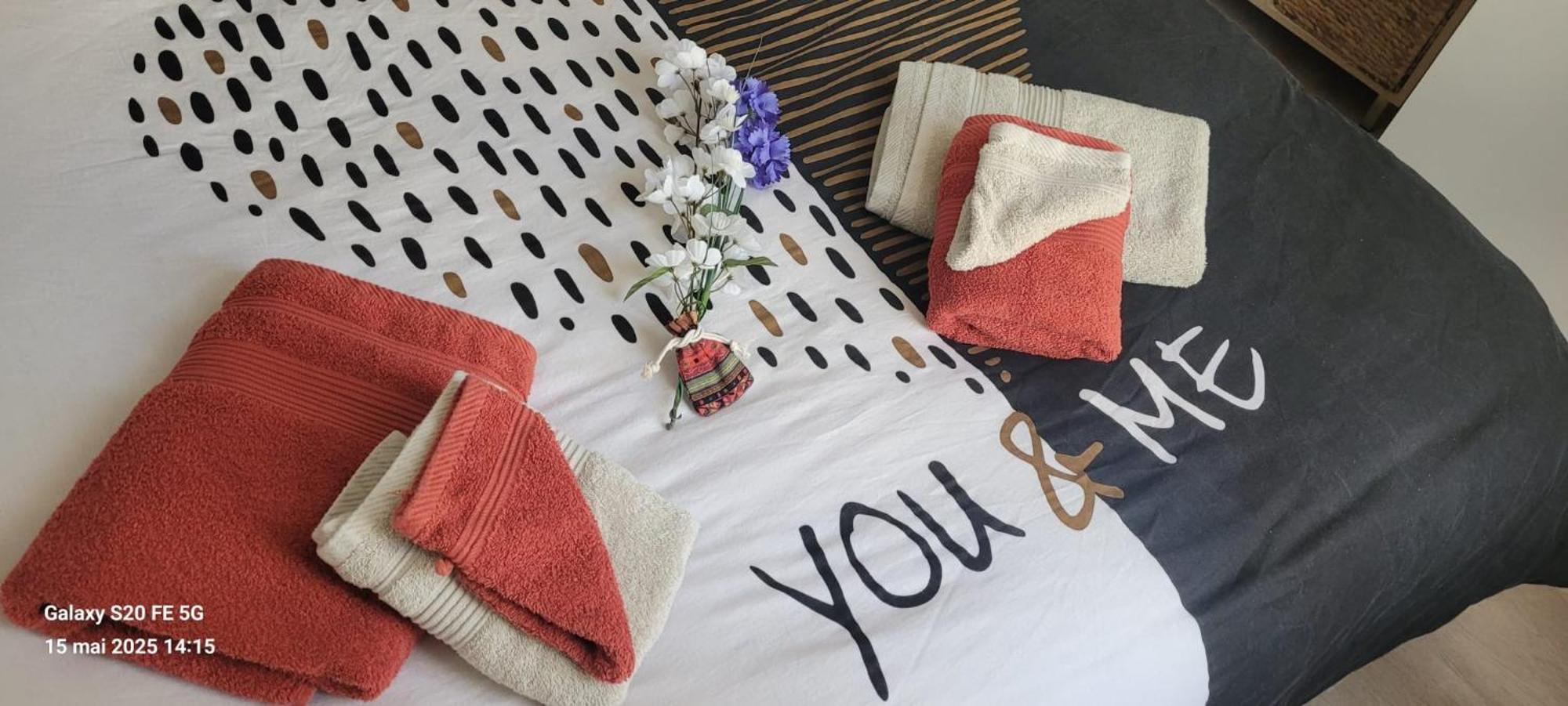 Les Volets Bleus - Deux Appartements Et Un Studio, Jardin ブールジュ エクステリア 写真