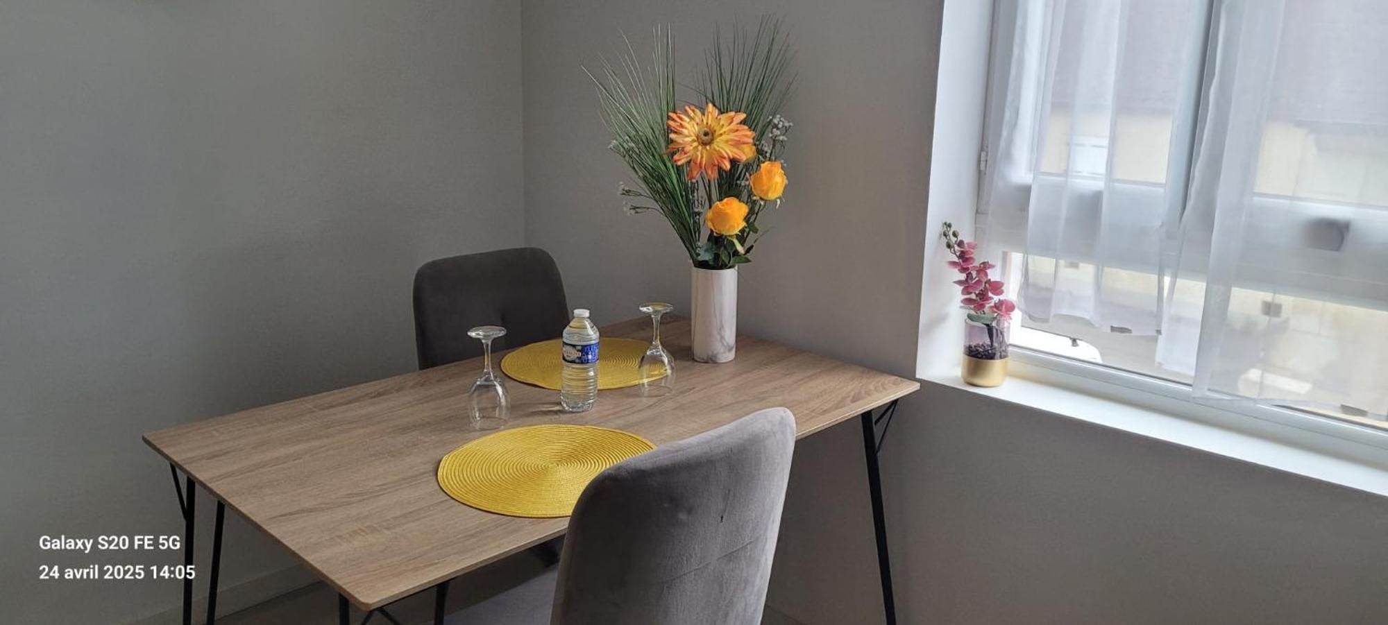 Les Volets Bleus - Deux Appartements Et Un Studio, Jardin ブールジュ エクステリア 写真