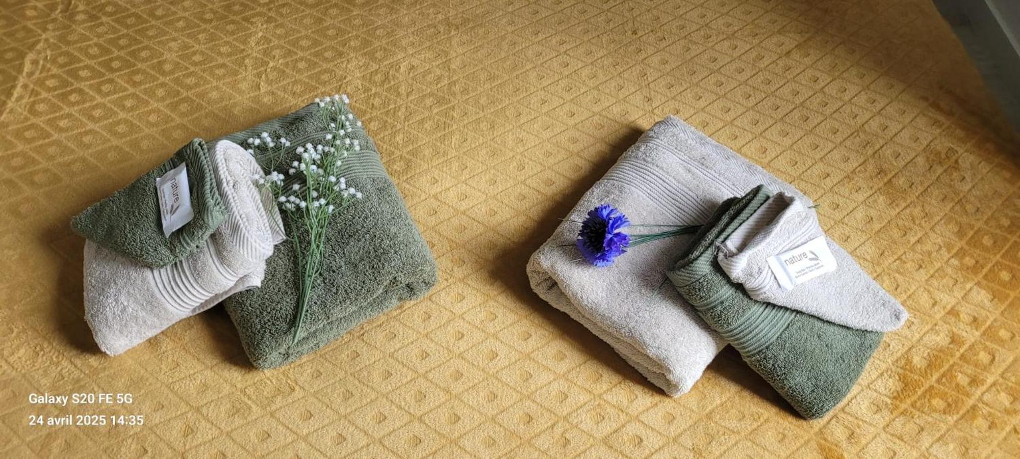 Les Volets Bleus - Deux Appartements Et Un Studio, Jardin ブールジュ エクステリア 写真