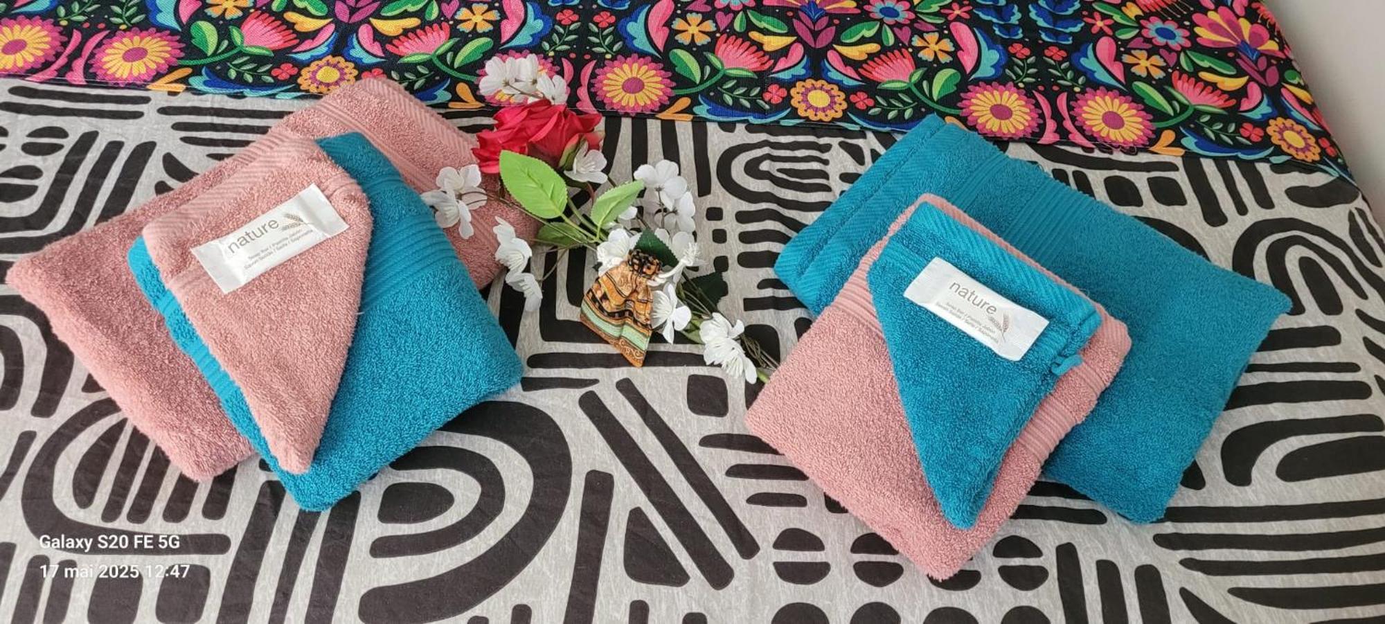 Les Volets Bleus - Deux Appartements Et Un Studio, Jardin ブールジュ エクステリア 写真