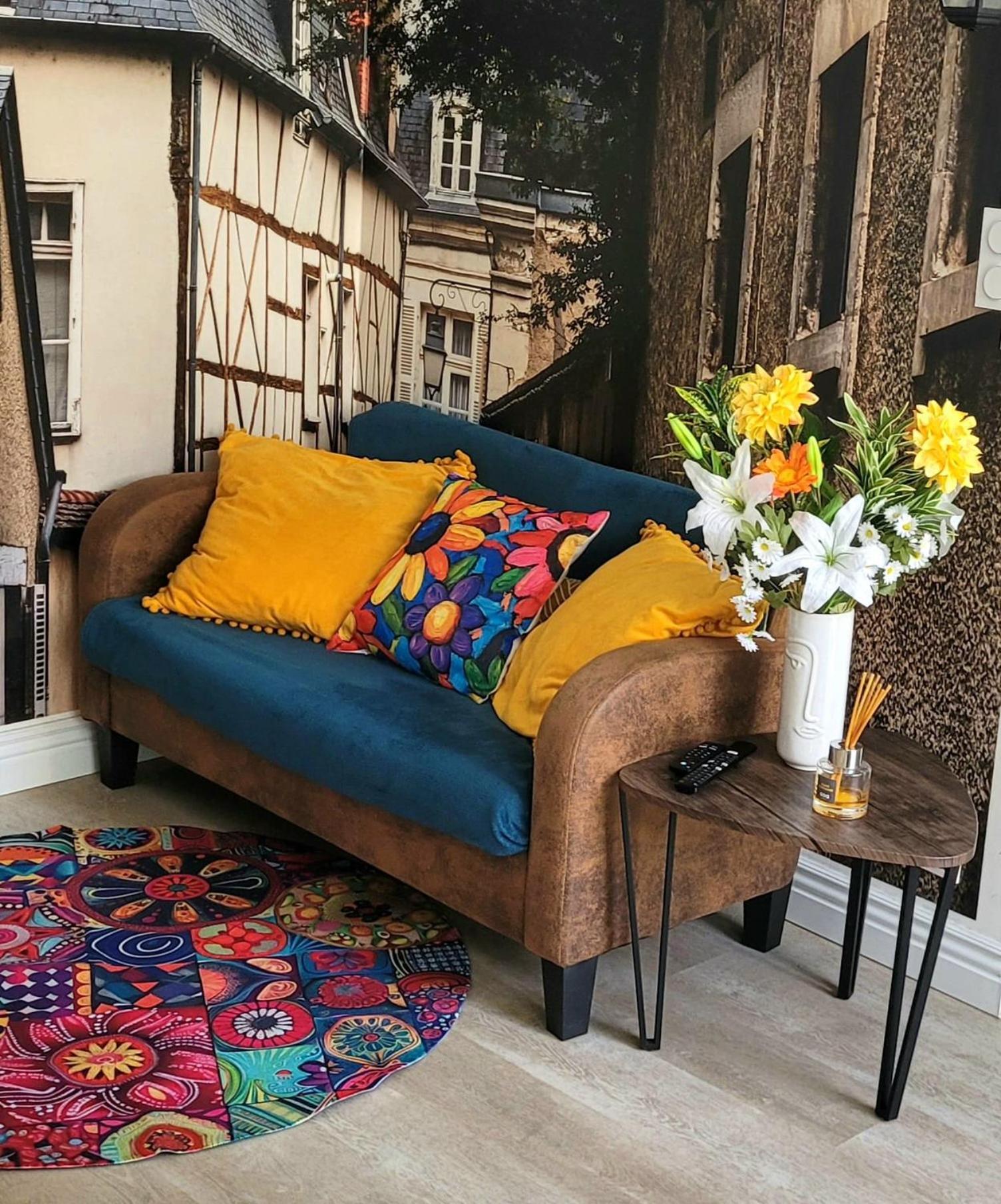 Les Volets Bleus - Deux Appartements Et Un Studio, Jardin ブールジュ エクステリア 写真
